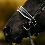 'Adeline' Leather Bridle (Cavesson)
