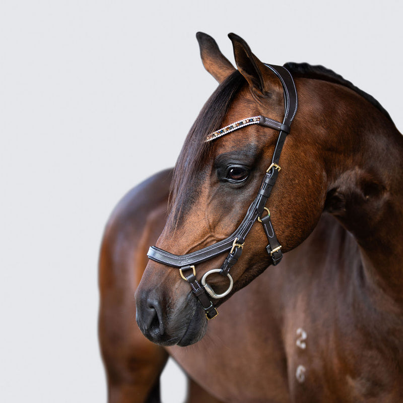 'Amber' Anatomic Leather Bridle (Lumi Pony) Clearance