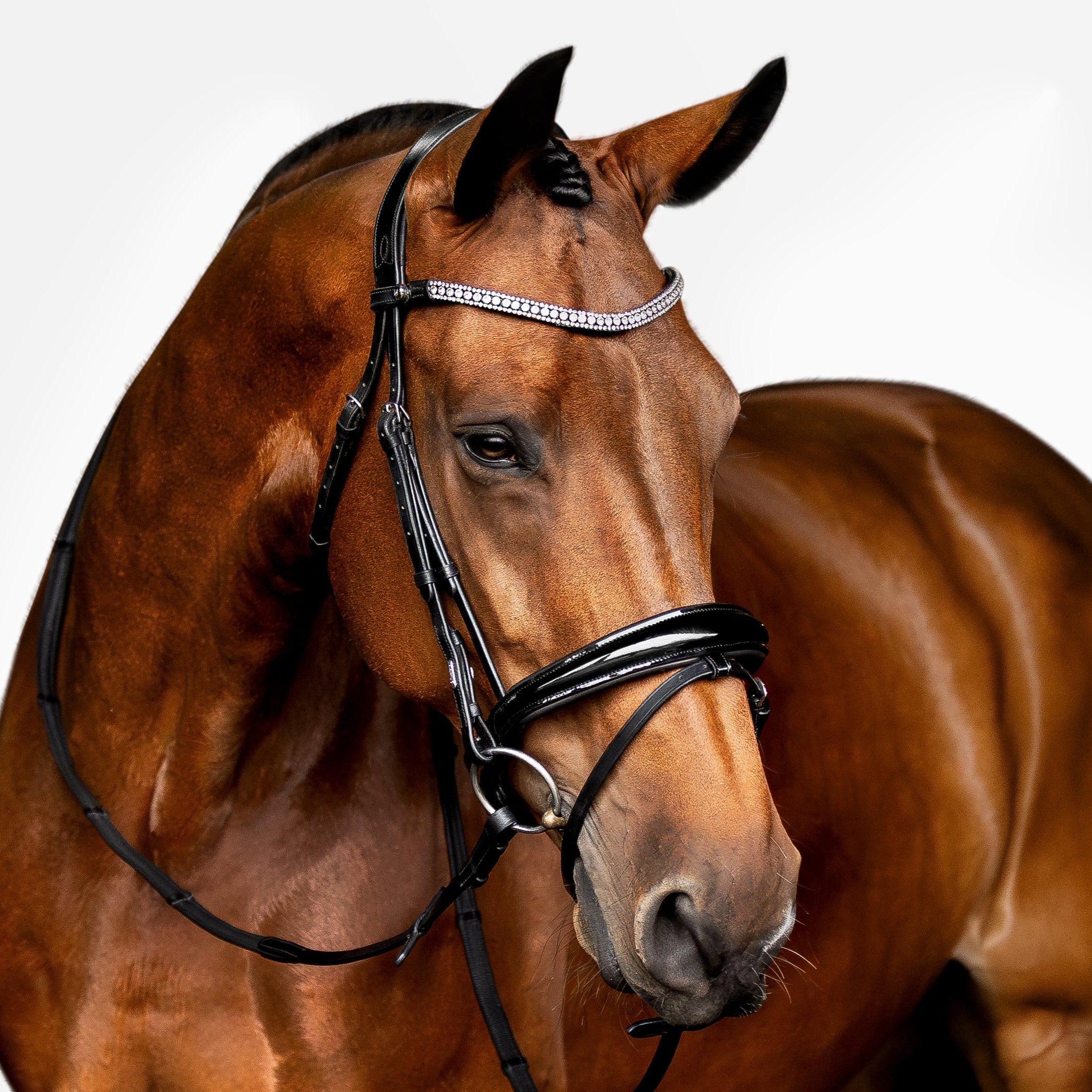 'Amie' Flat Leather Bridle (Hanoverian) - Lumiere Equestrian