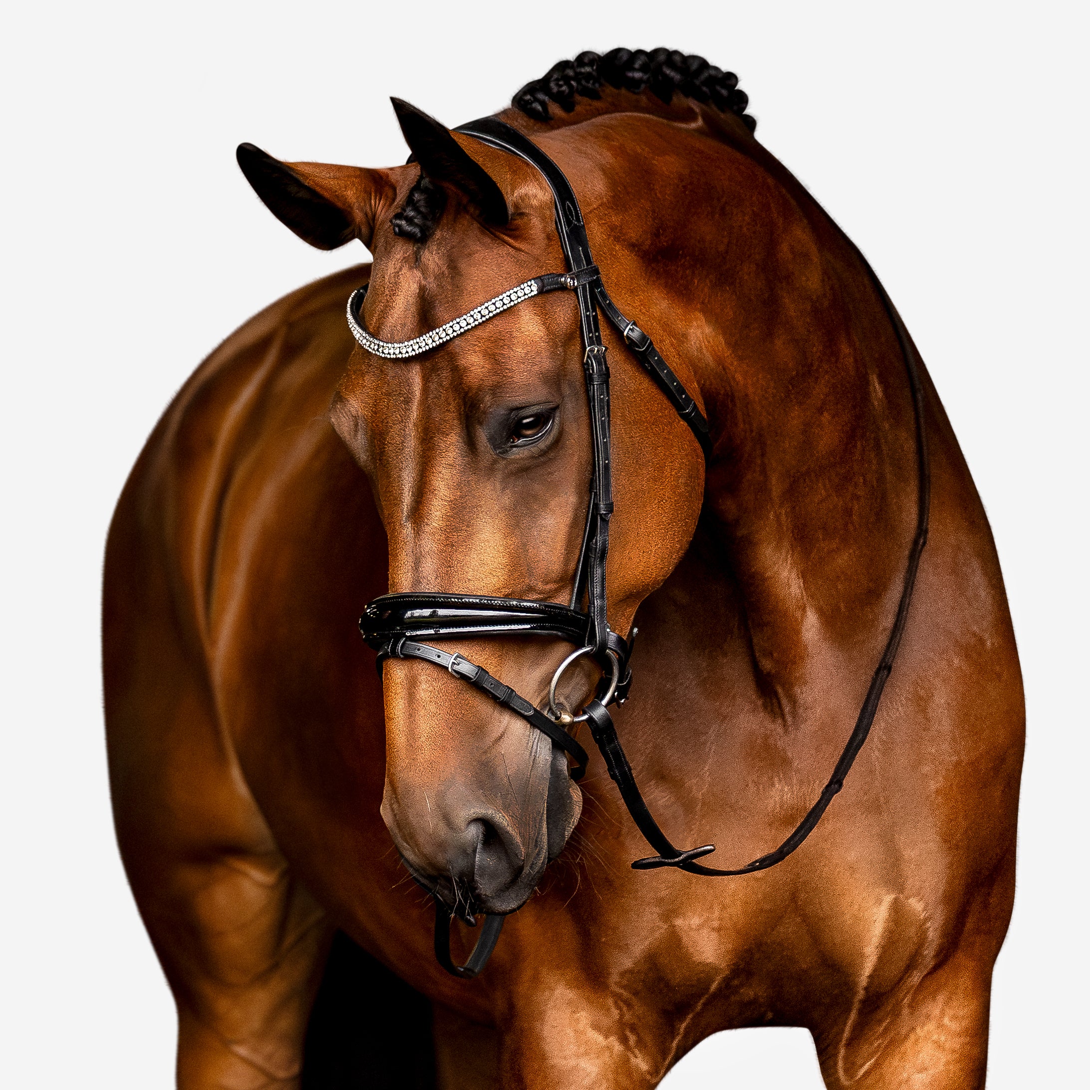 'Amie' Flat Leather Bridle (Hanoverian) - Lumiere Equestrian