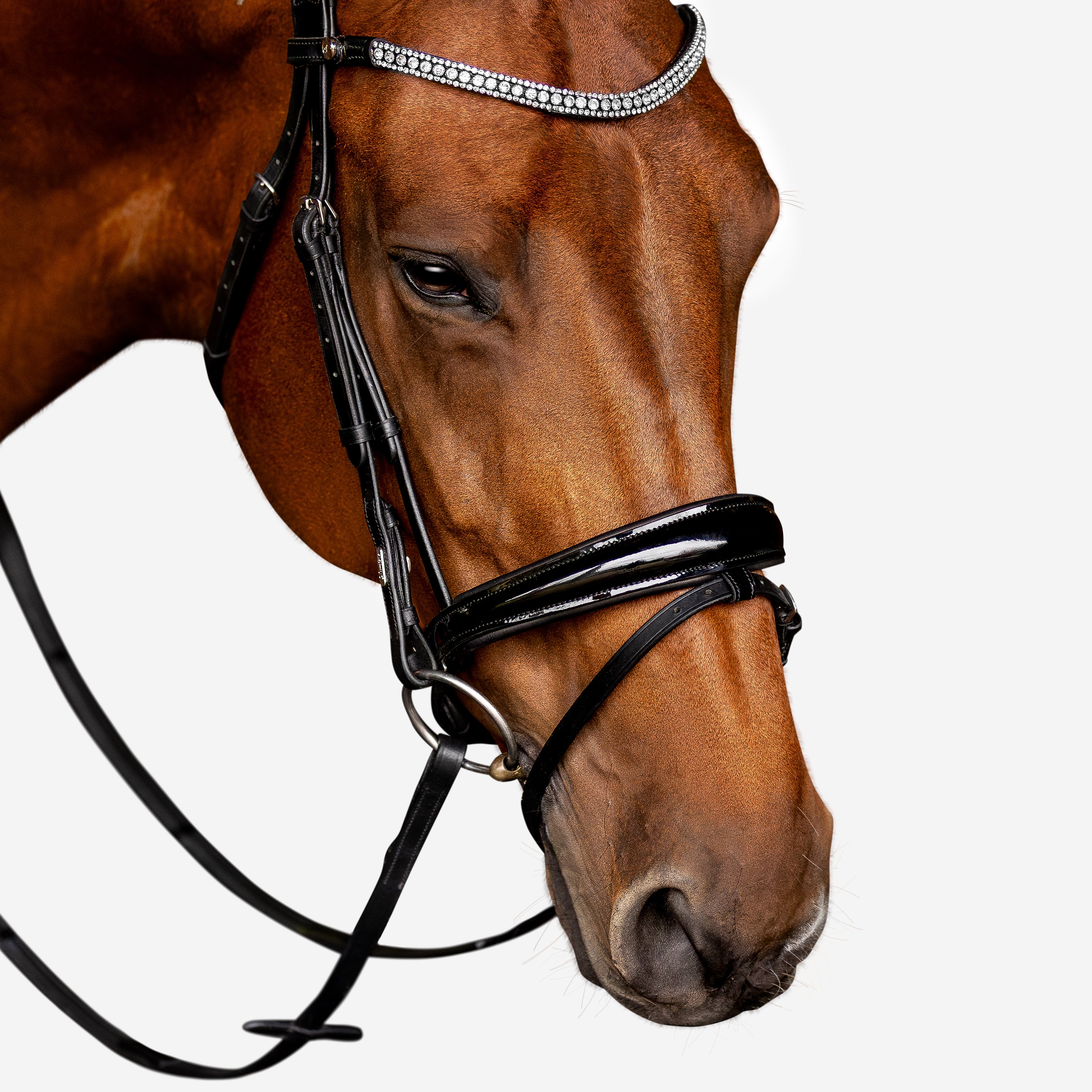 'Amie' Flat Leather Bridle (Hanoverian) - Lumiere Equestrian