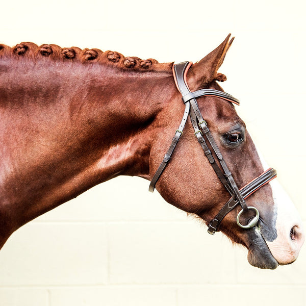 Amour bridle - seconds stock