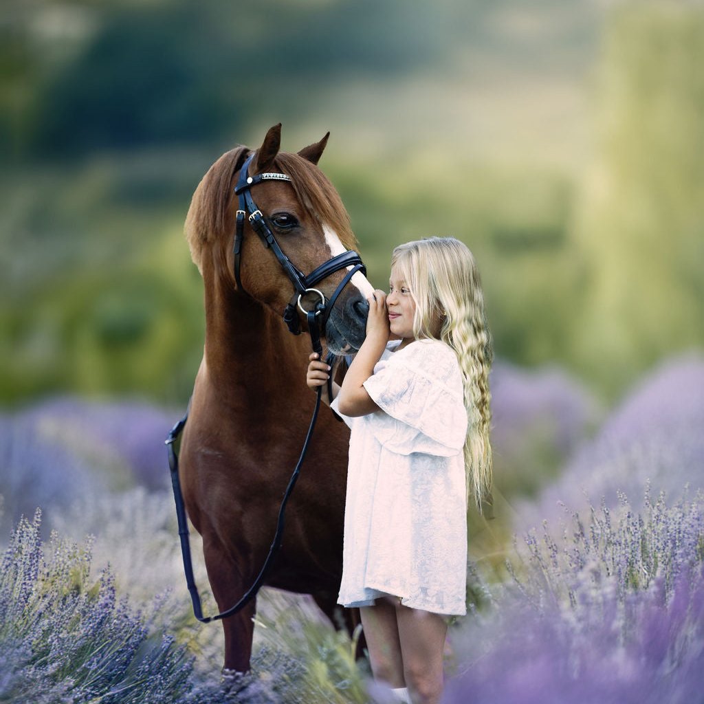 'Anastasia' leather bridle (convertible) (Lumi Pony) - Lumiere Equestrian