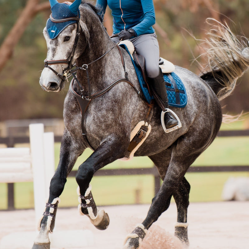 'Anka' breastplate - various color options - Lumiere Equestrian