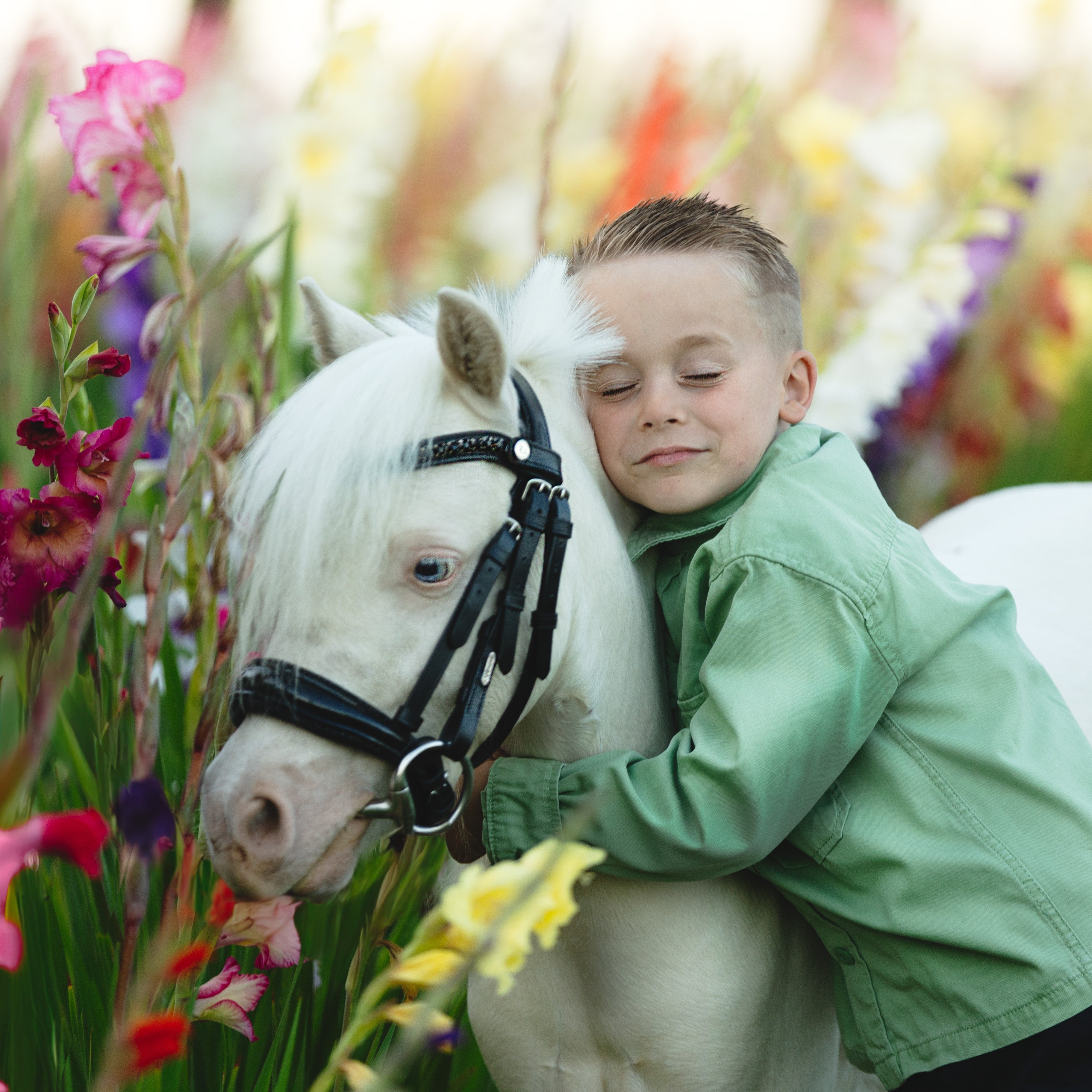 'Arcadia' Luxury Leather Bridle (Cavesson) (Lumi Pony) Clearance - Lumiere Equestrian