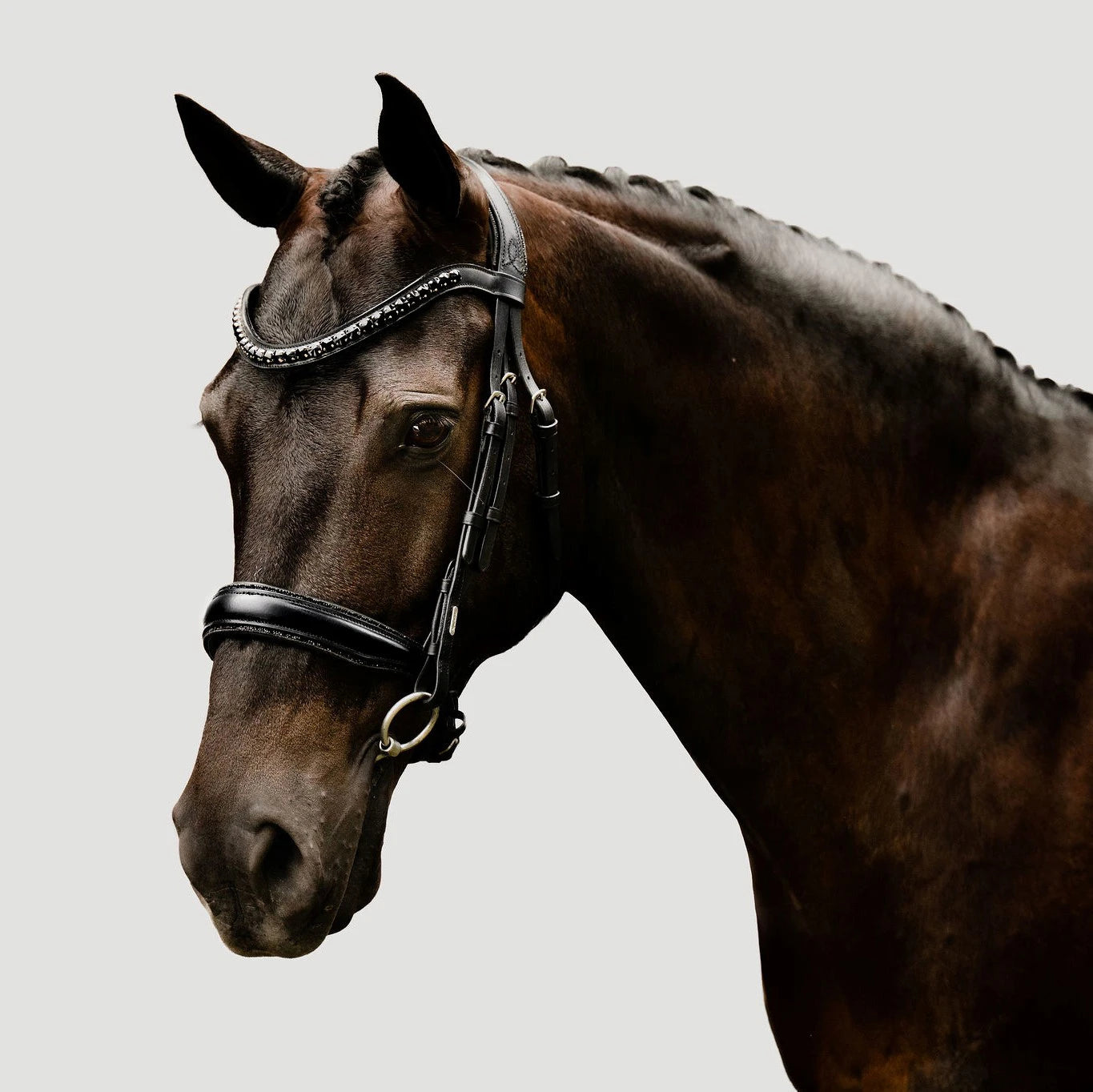 'Arcadia' Luxury Leather Bridle (Cavesson) - Lumiere Equestrian