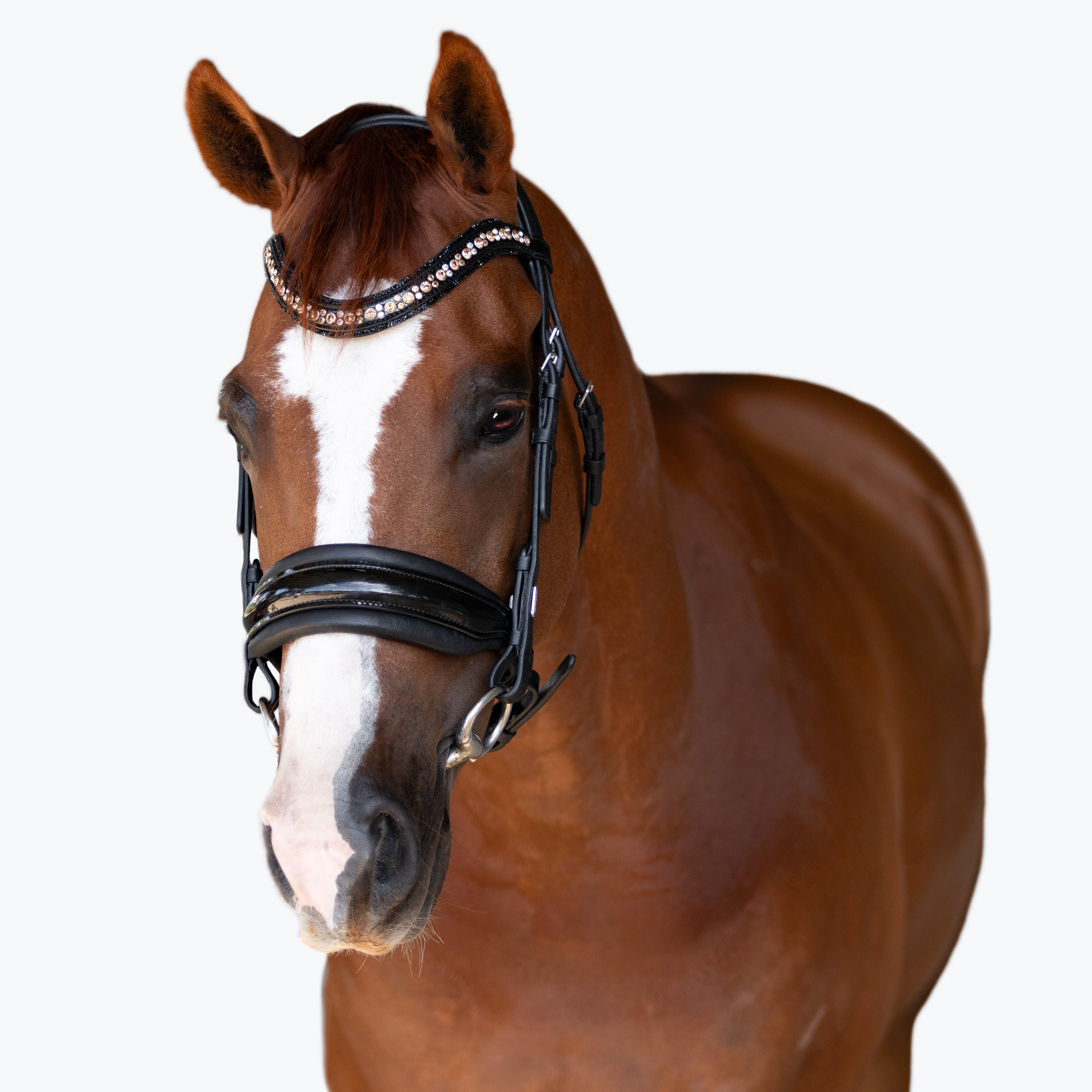 'Ariana' bridle (cavesson) - Lumiere Equestrian
