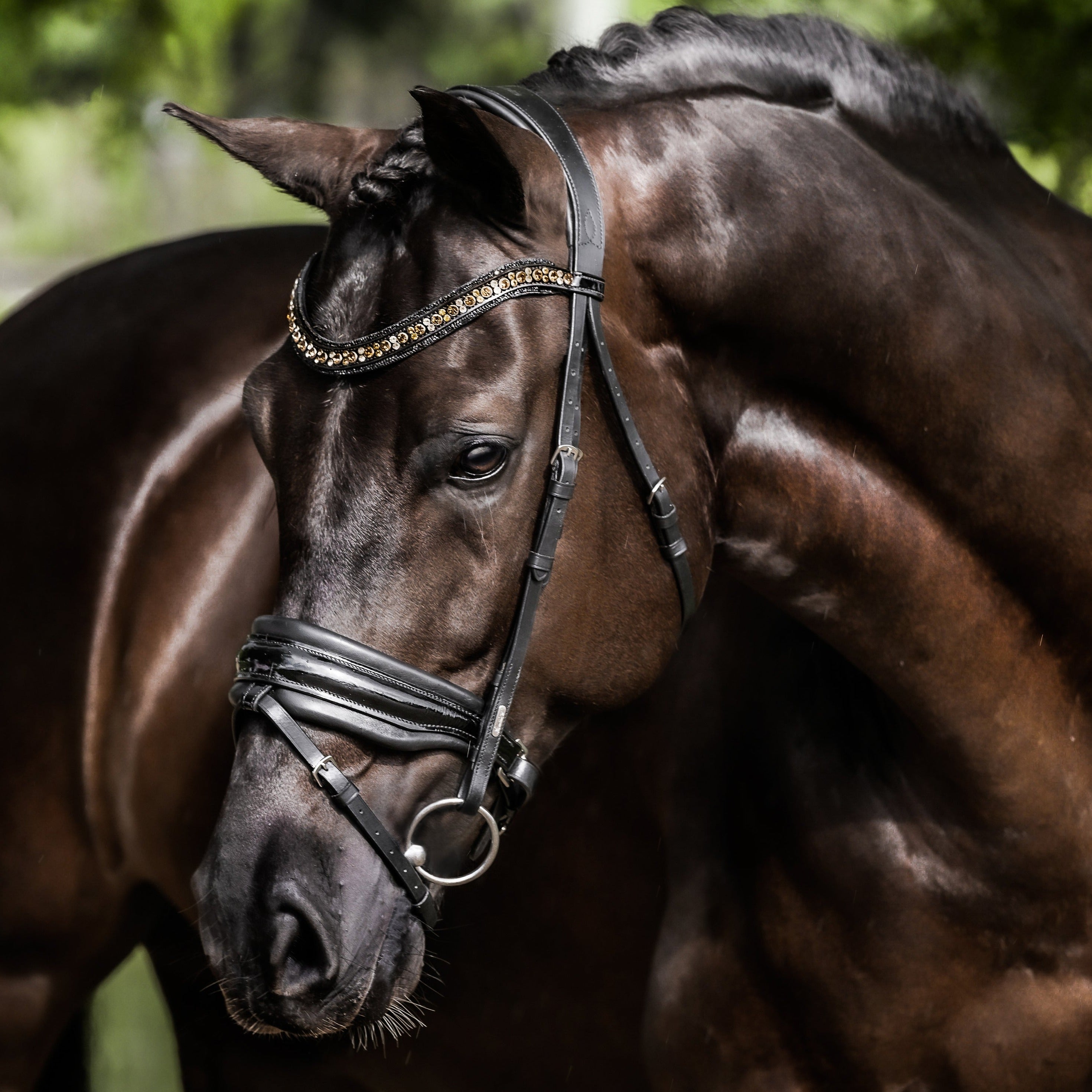 'Ariana' bridle (hanoverian) - Lumiere Equestrian