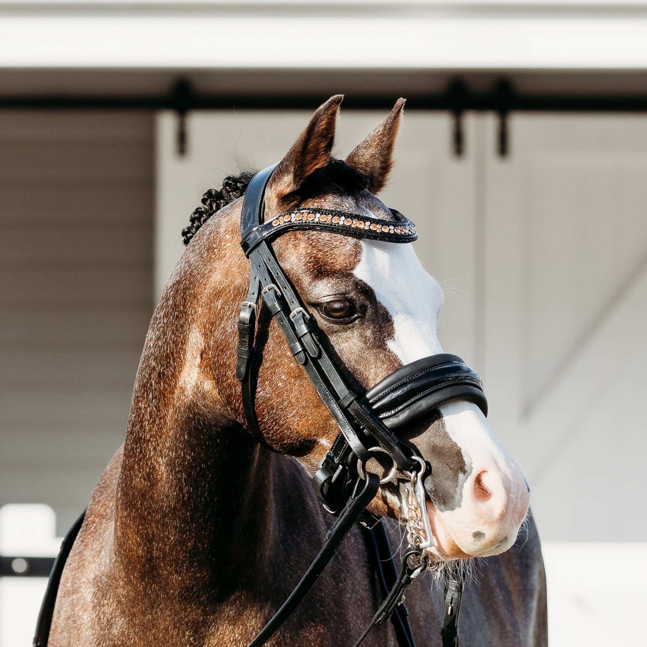 'Ariana' bridle (double) (Lumi Pony) - Lumiere Equestrian