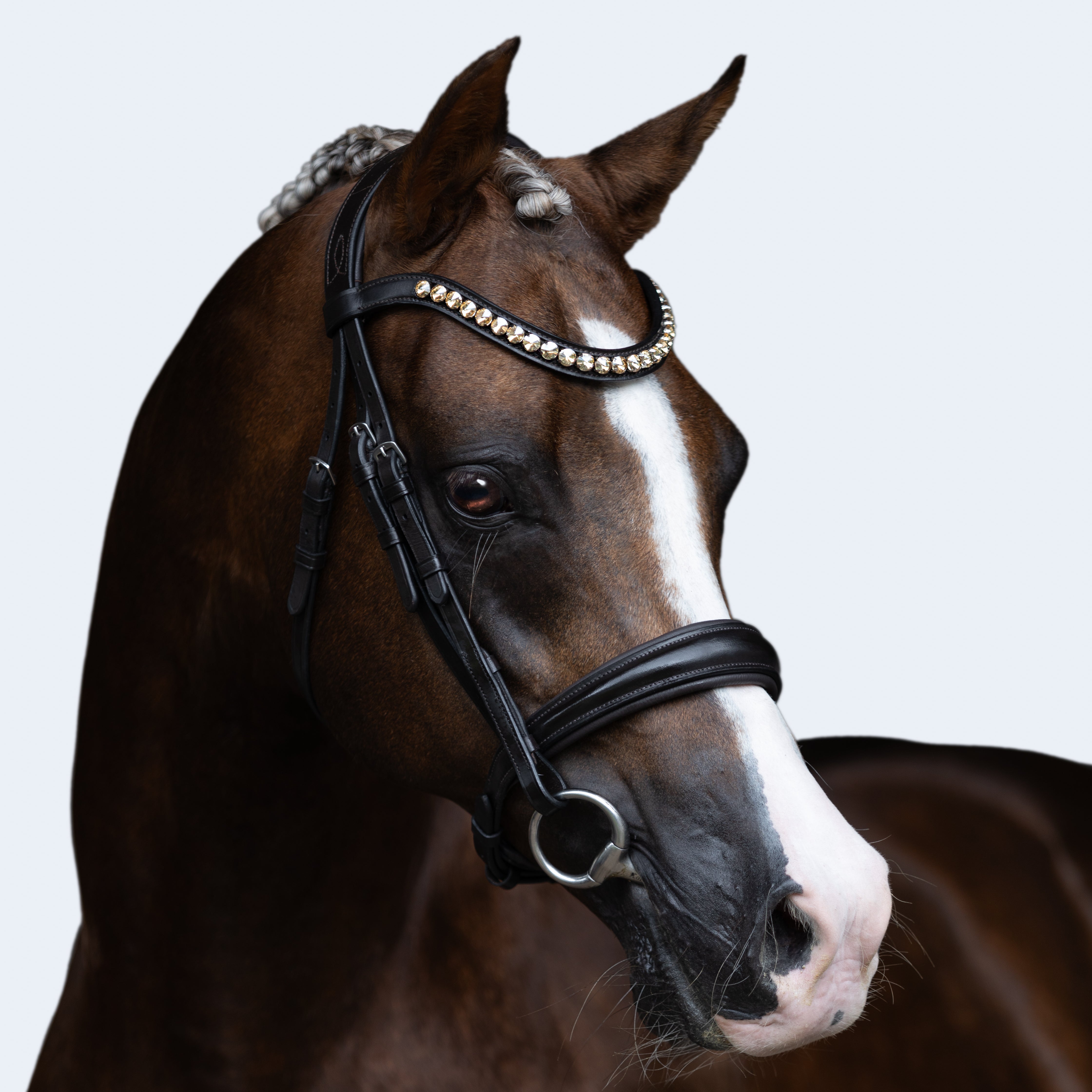 'Athens' leather bridle (snaffle) (Lumi Pony) - Lumiere Equestrian