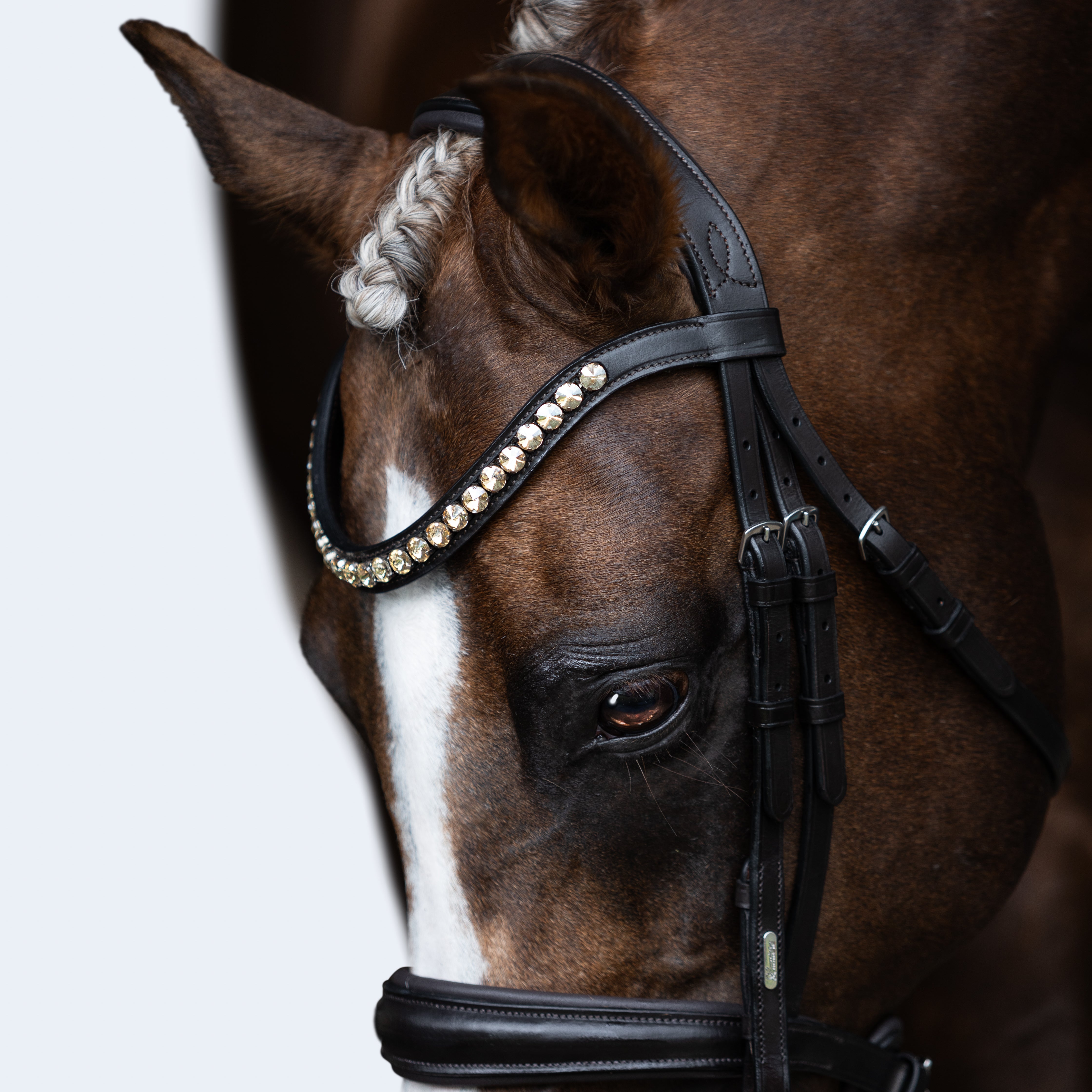 'Athens' leather bridle (snaffle) (Lumi Pony) - Lumiere Equestrian
