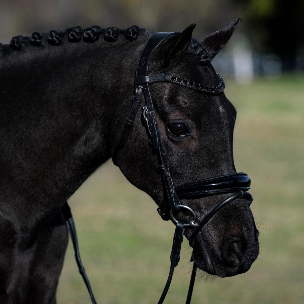 'Audrey' Rolled Leather Bridle (Hanoverian) (Lumi Pony) - Lumiere Equestrian