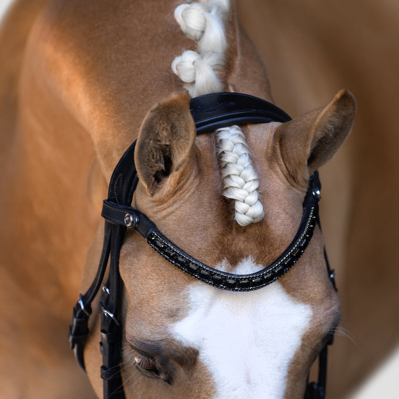 'Audrey' Rolled Leather Bridle (Hanoverian) - Lumiere Equestrian