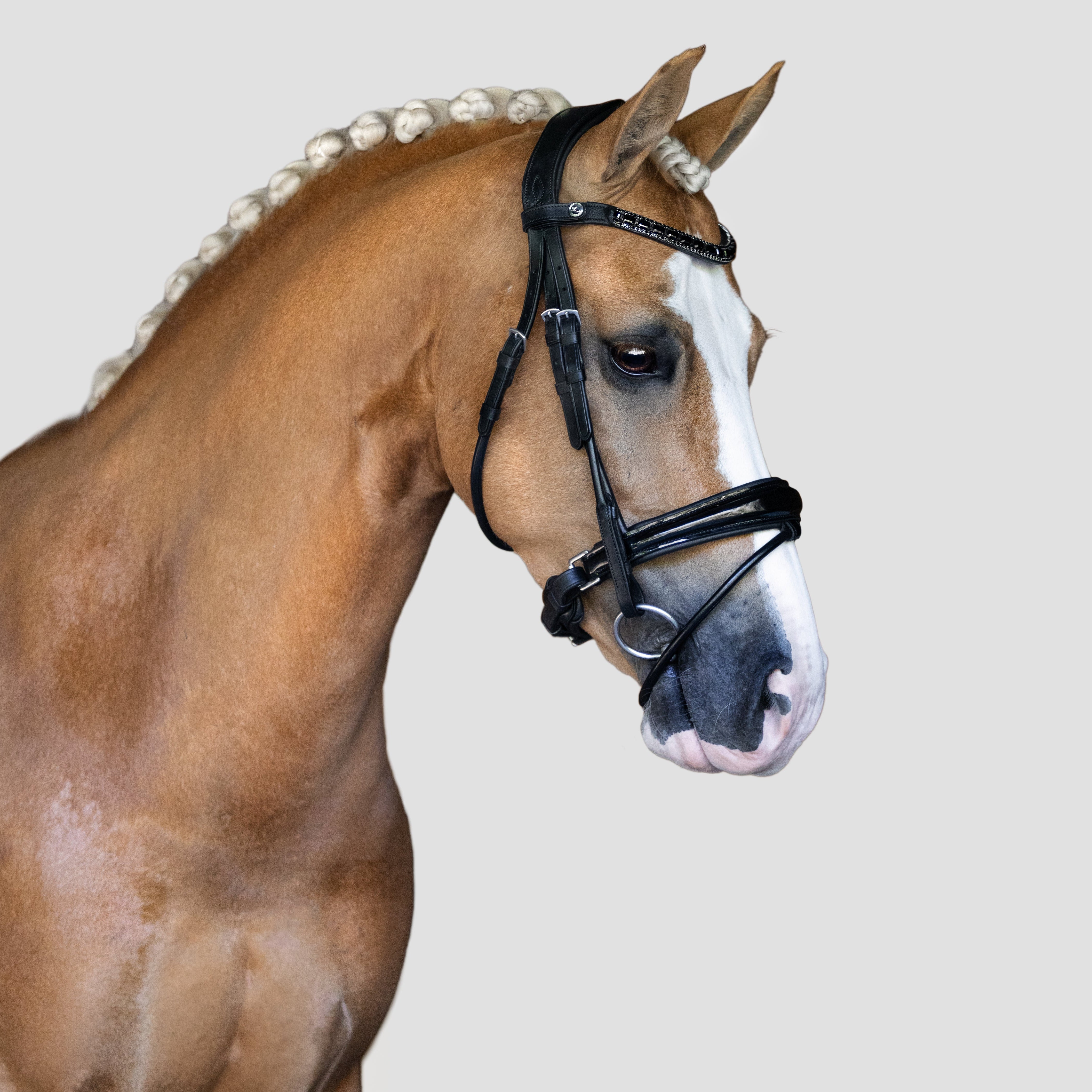 'Audrey' Rolled Leather Bridle (Hanoverian) - Lumiere Equestrian