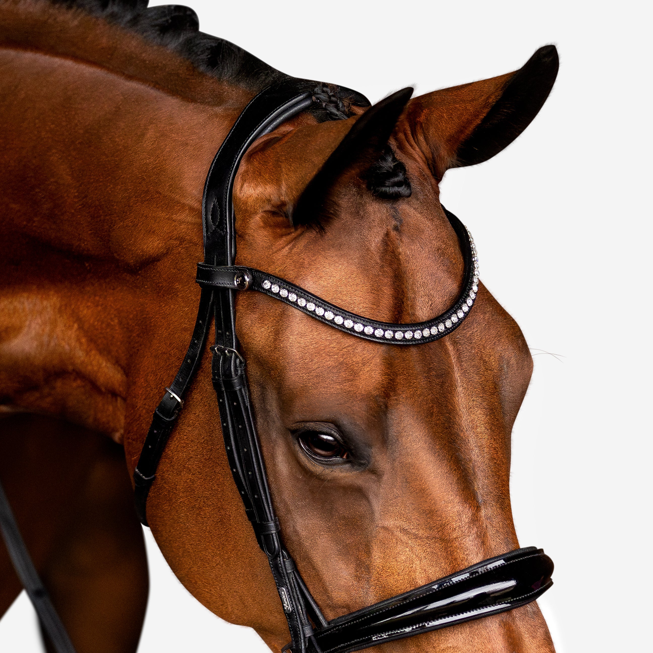 'Aurelie' Flat Leather Bridle (Cavesson) - Lumiere Equestrian