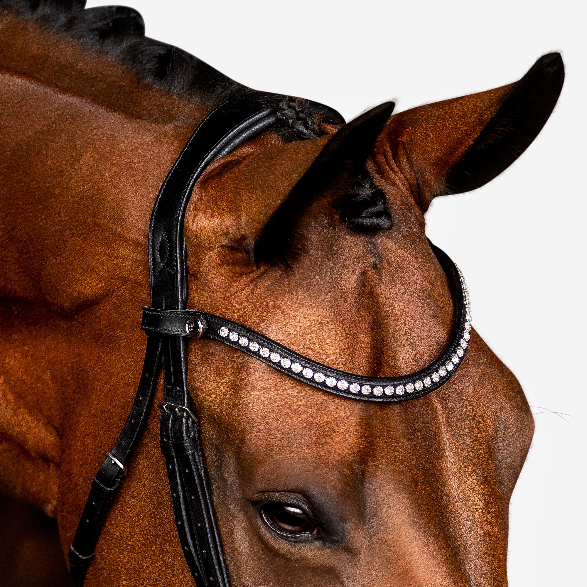 'Aurelie' Flat Leather Bridle (Cavesson) - Lumiere Equestrian