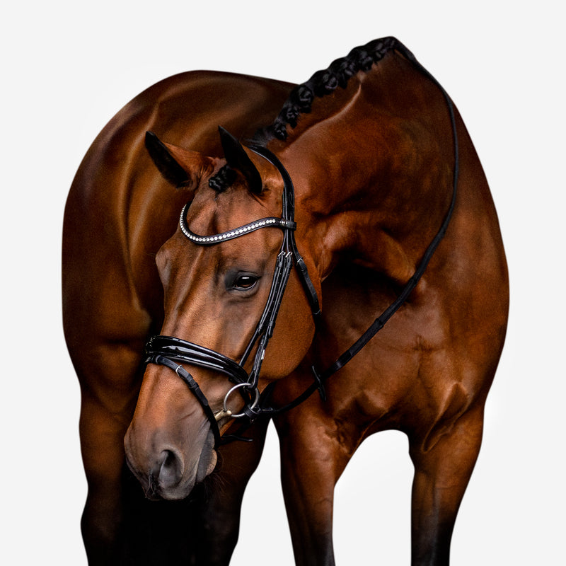 'Aurelie' Flat Leather Bridle (Hanoverian)