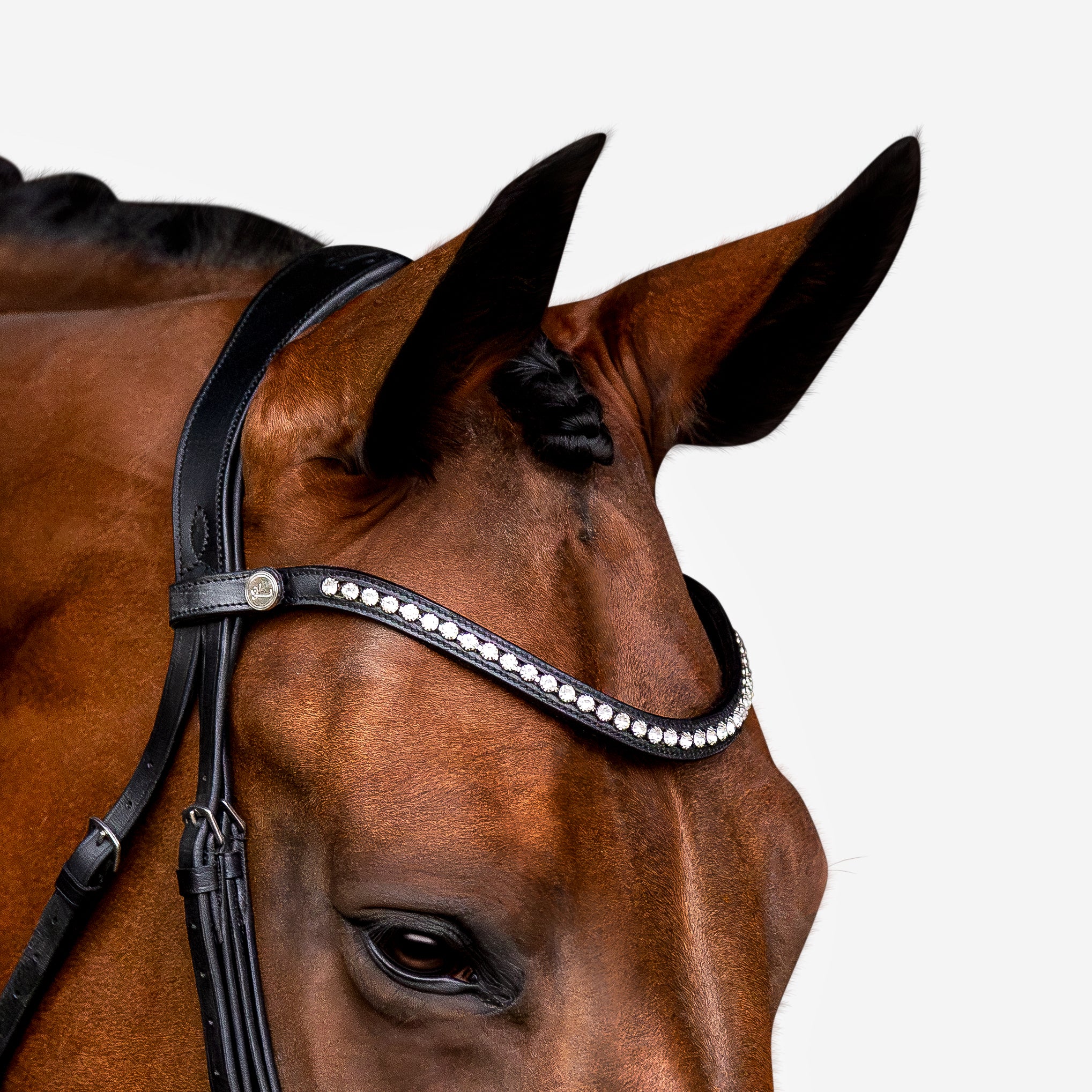 'Aurelie' Flat Leather Bridle (Hanoverian) - Lumiere Equestrian