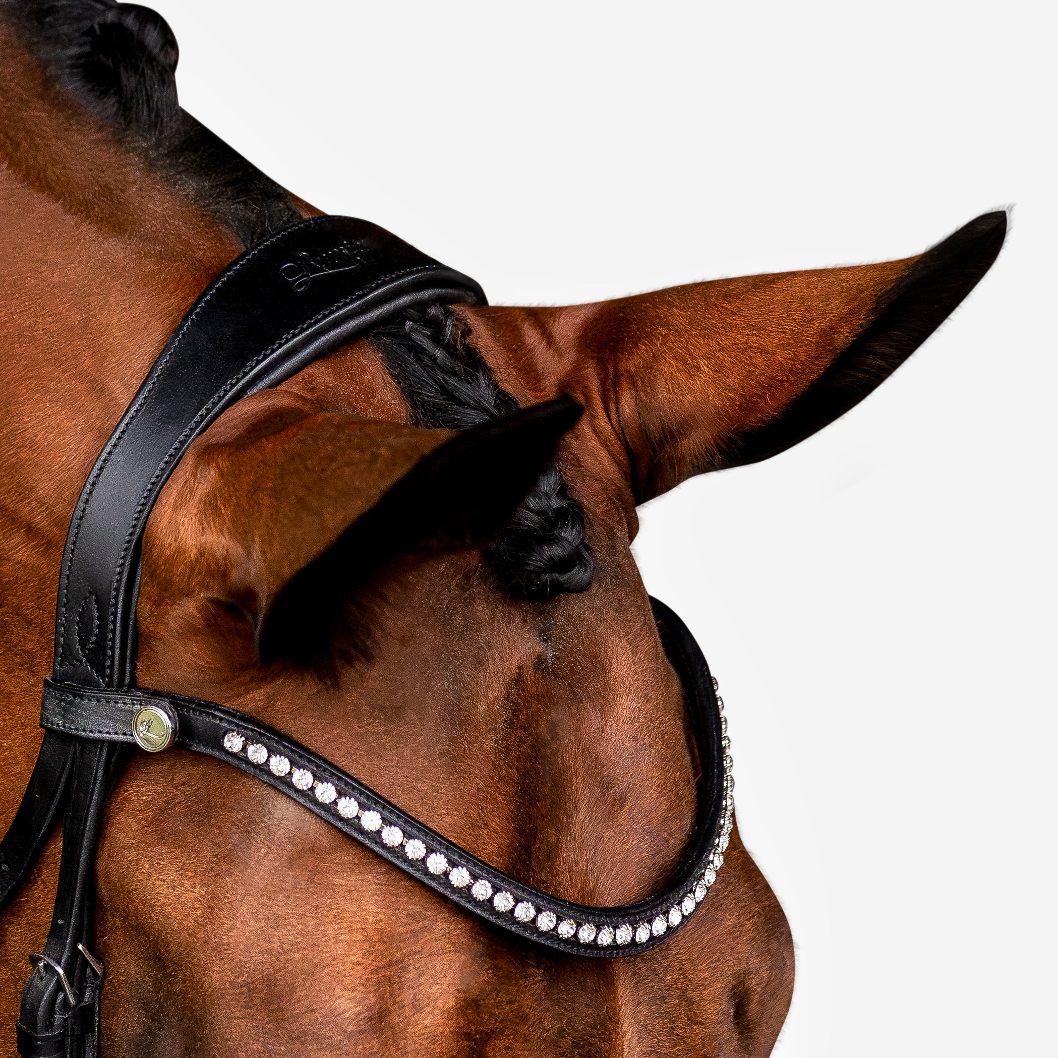 'Aurelie' Flat Leather Bridle (Hanoverian) - Lumiere Equestrian