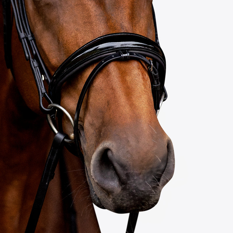 'Aurelie' Flat Leather Bridle (Hanoverian)