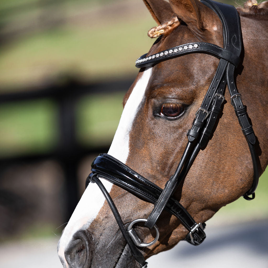 'Aurelie' Rolled Leather Bridle (Hanoverian) (Lumi Pony) - Lumiere Equestrian