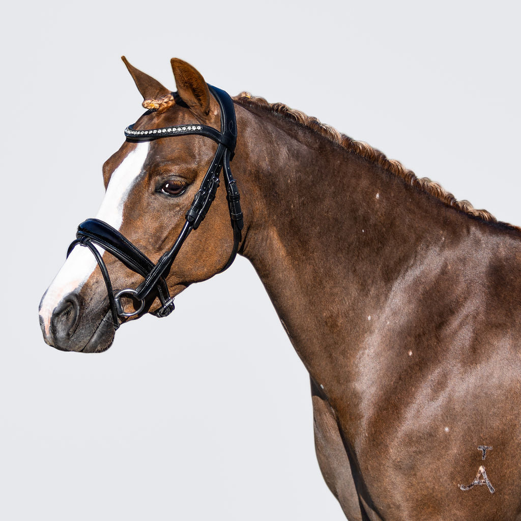 'Aurelie' Rolled Leather Bridle (Hanoverian) (Lumi Pony) - Lumiere Equestrian