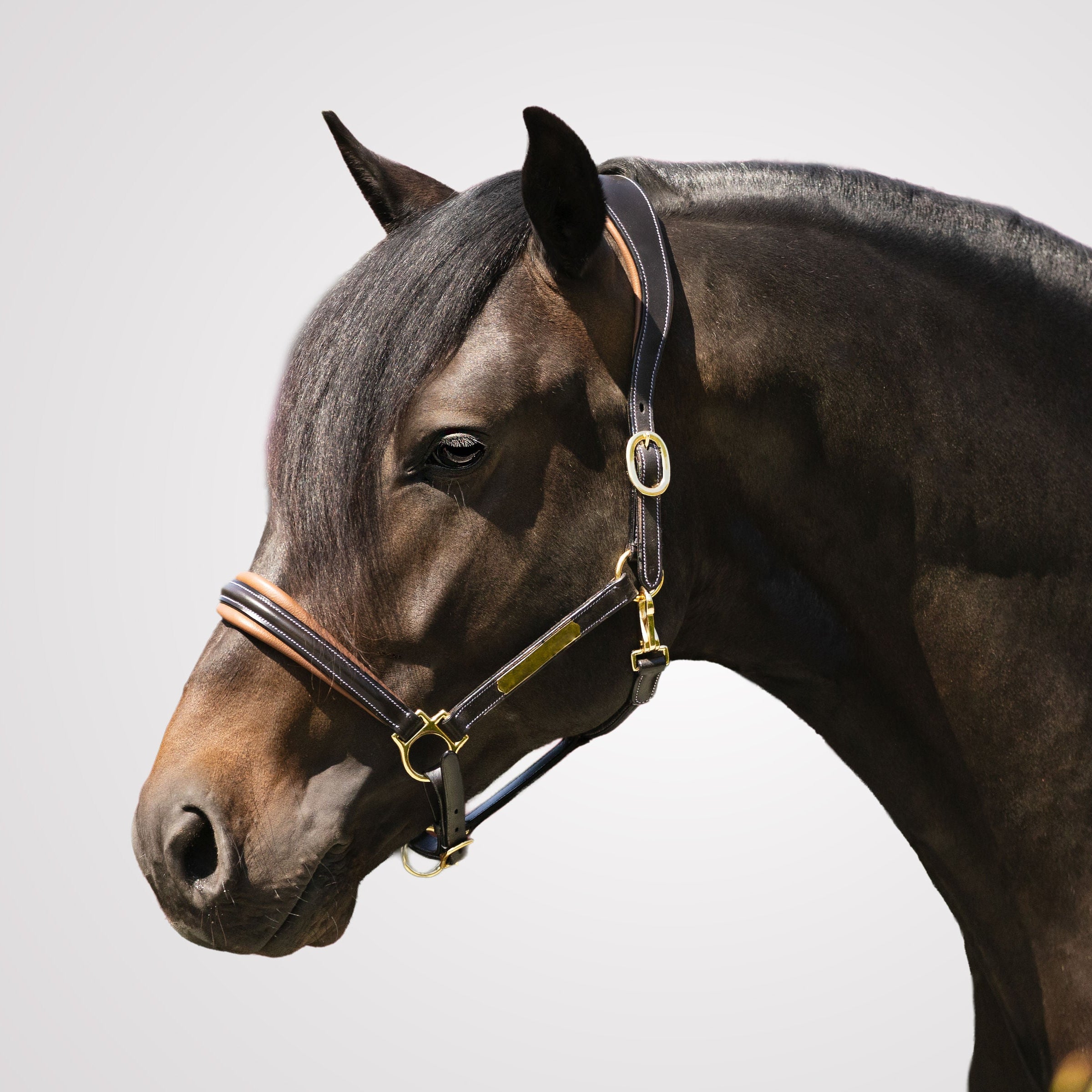 'Bella' leather halter