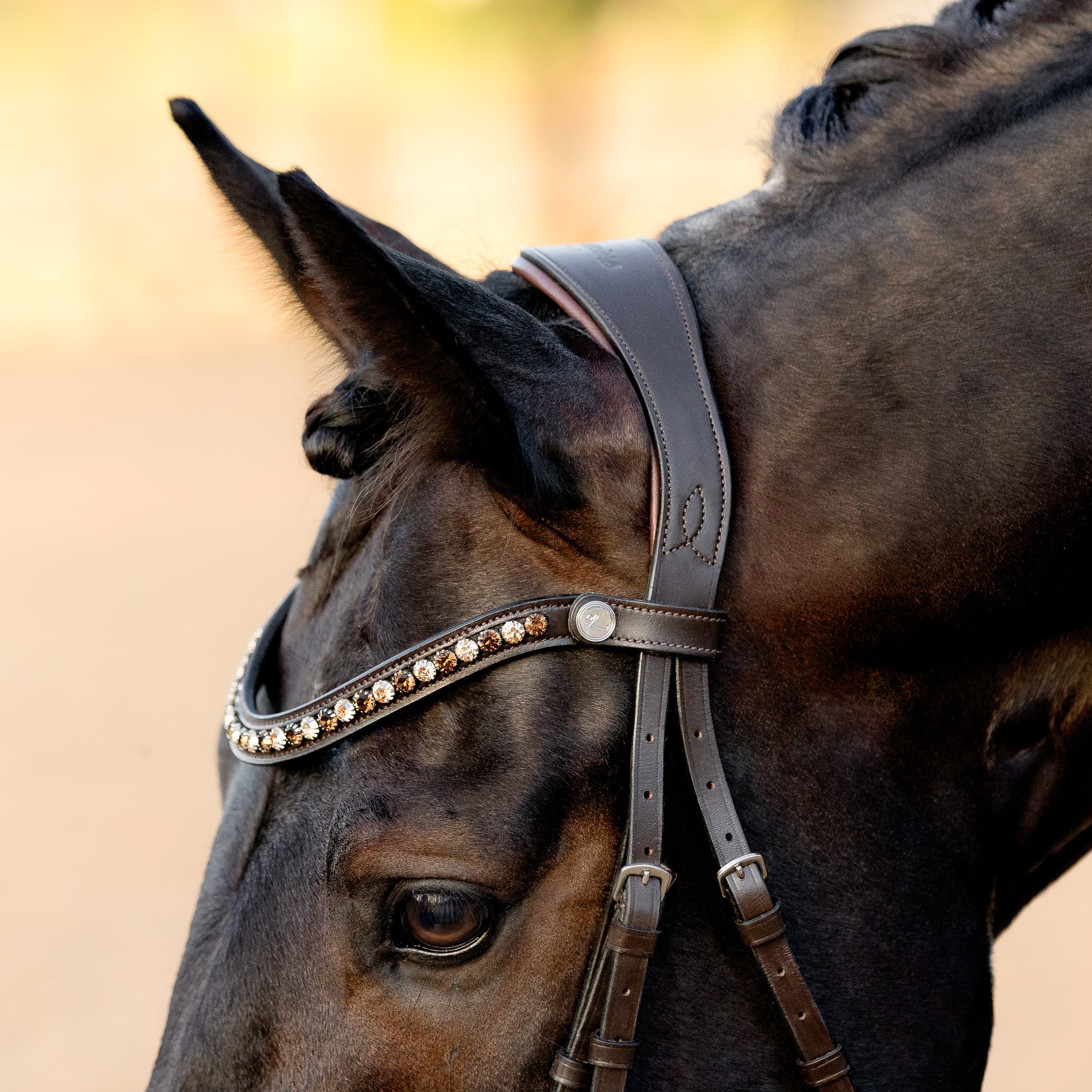 Pippa bridle