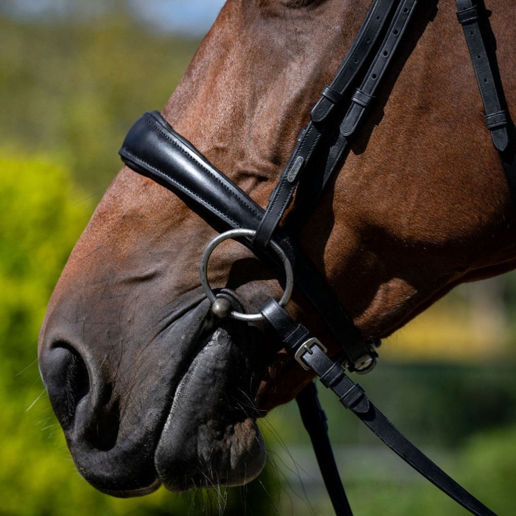 'Mikayla' Leather Bridle (Convertible) - Lumiere Equestrian