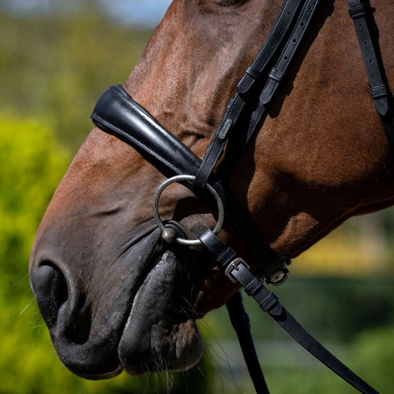 'Mikayla' Leather Bridle (Convertible)