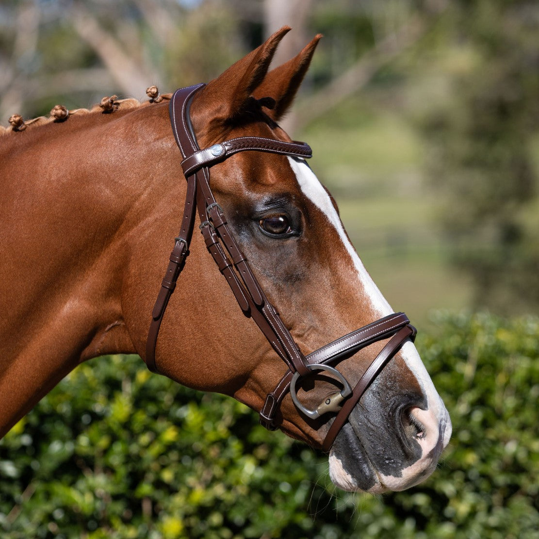 Delaney bridle - Lumiere Equestrian