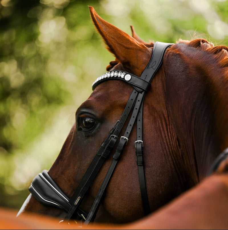 Diva bridle (cavesson)