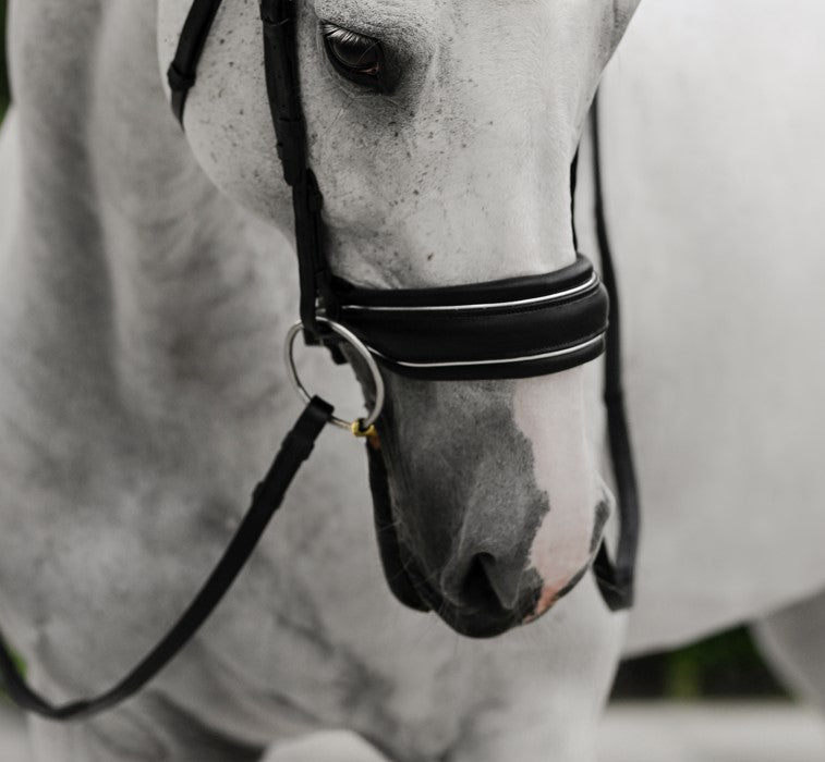Diva Noseband (cavesson) - Lumiere Equestrian