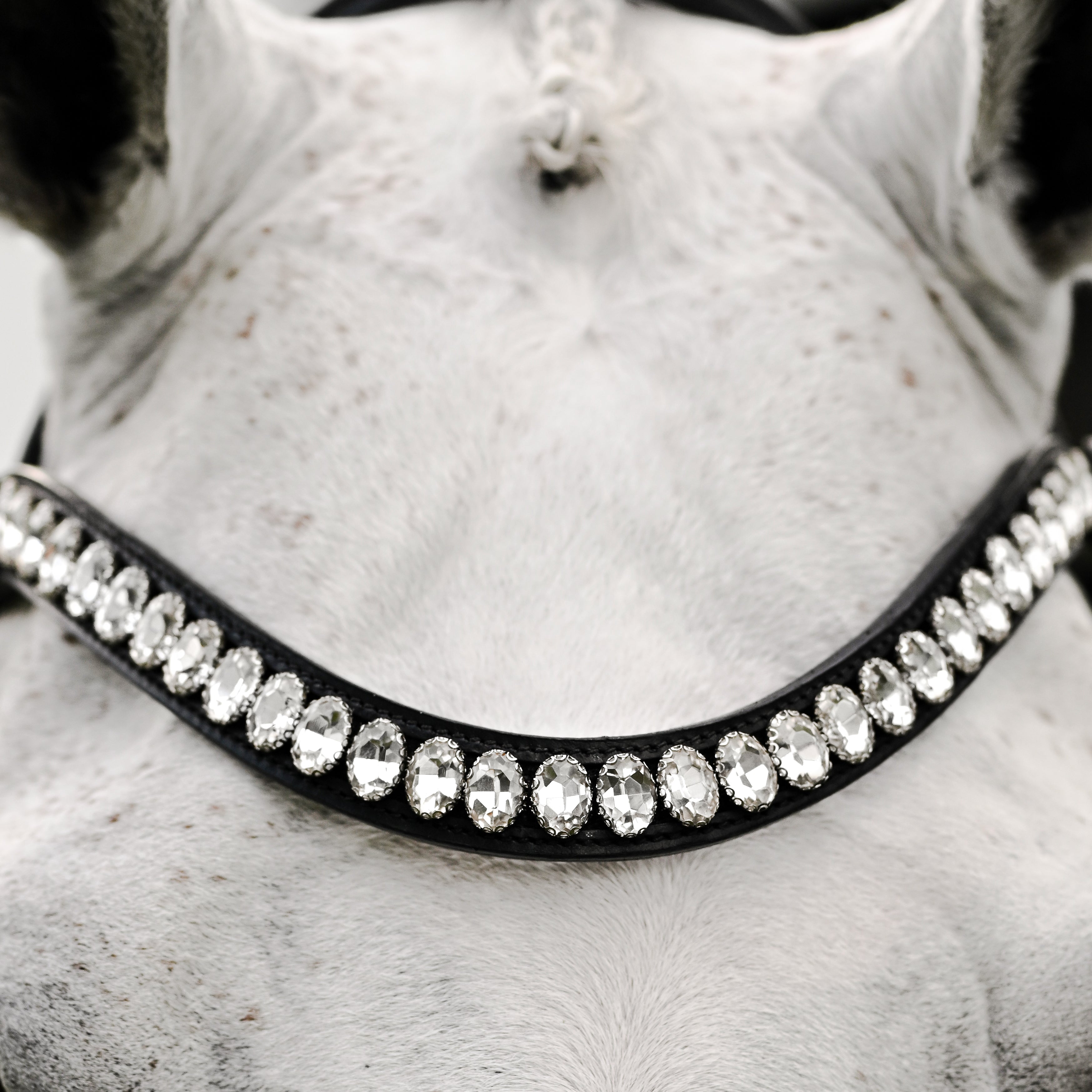 Diva crystal browband (Lumi Pony) - Lumiere Equestrian