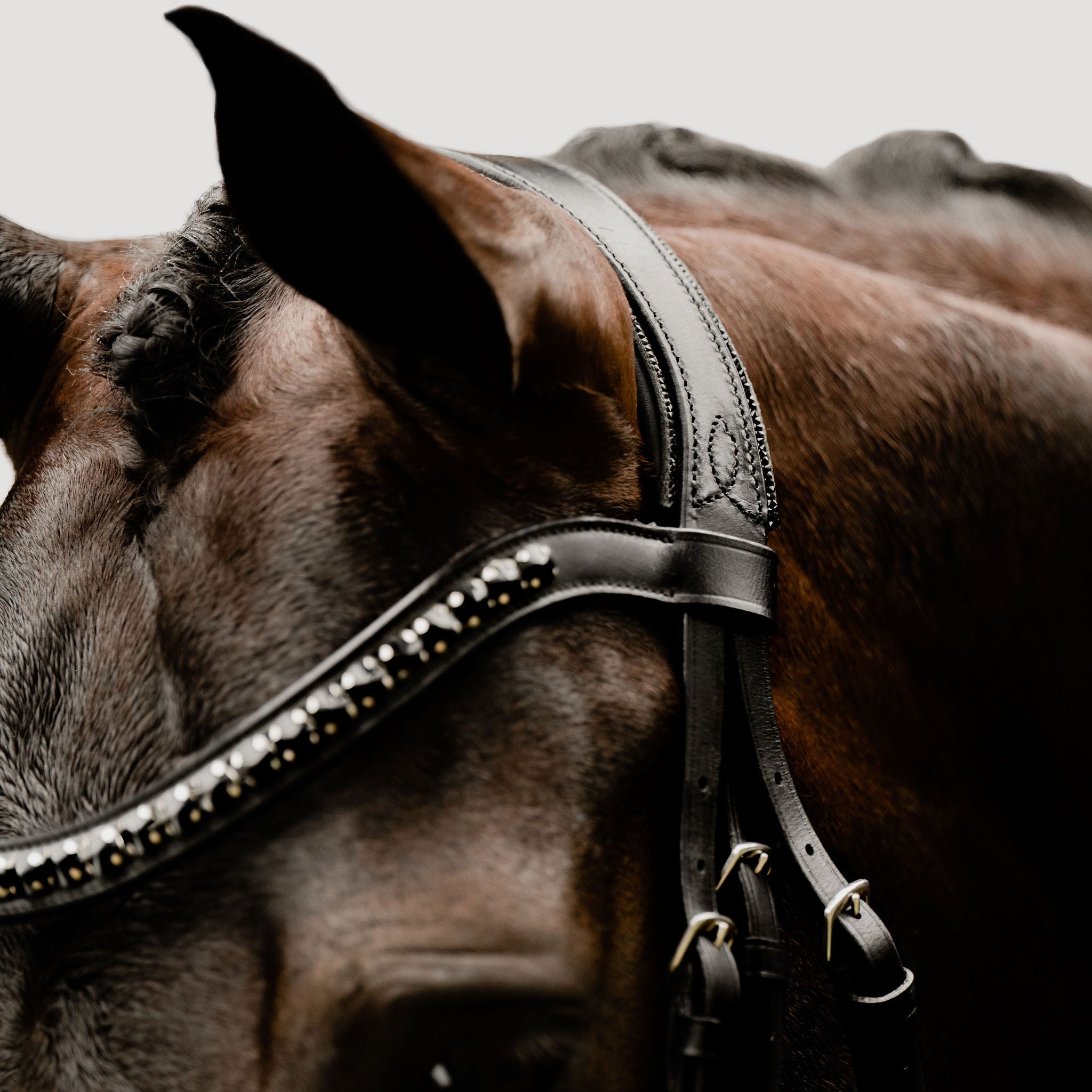 'Arcadia' Luxury Leather Bridle (hanoverian)
