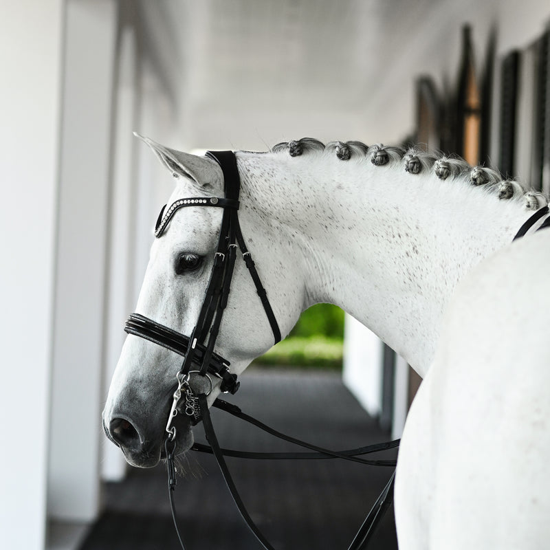 Saphira Bridle (double)