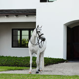 Saphira Bridle (double)