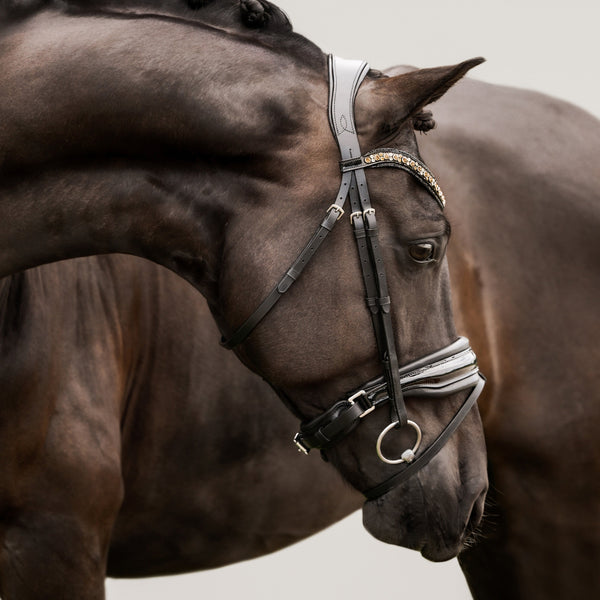 Ariana noseband (hanoverian)