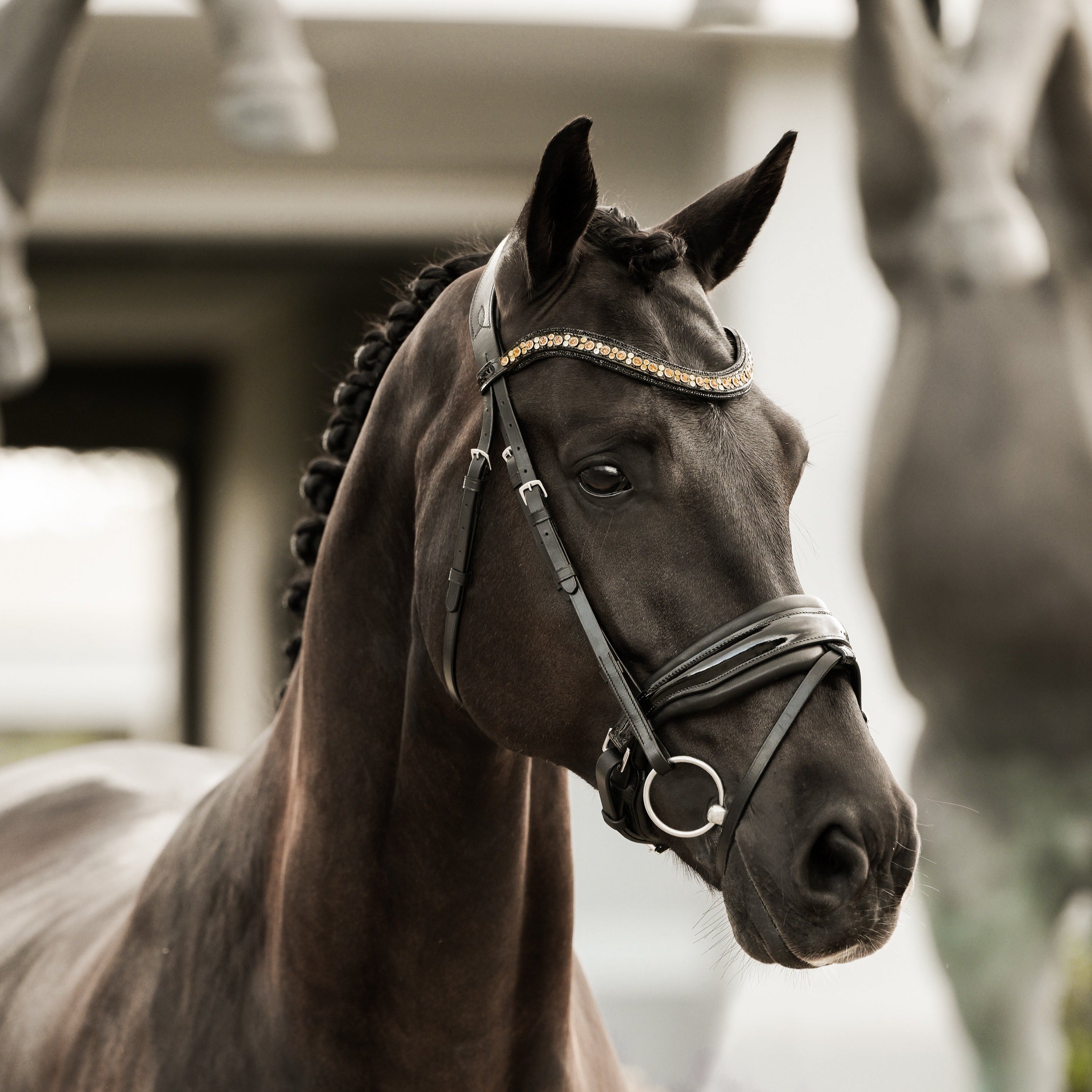 'Ariana' bridle (hanoverian) - Lumiere Equestrian