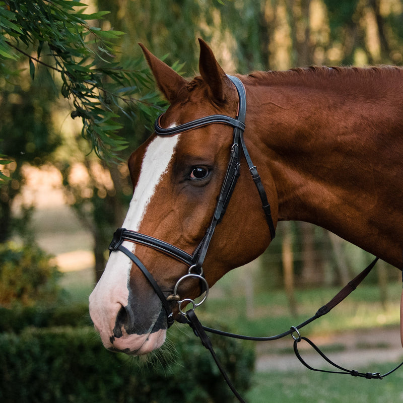 Amour bridle - seconds stock