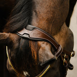 Dallas bridle