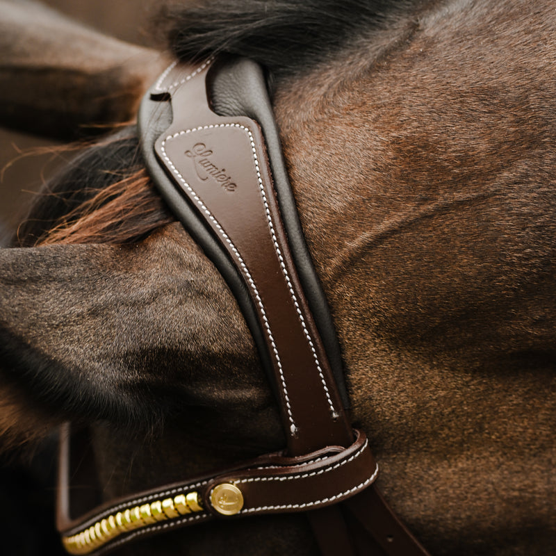 Dallas bridle