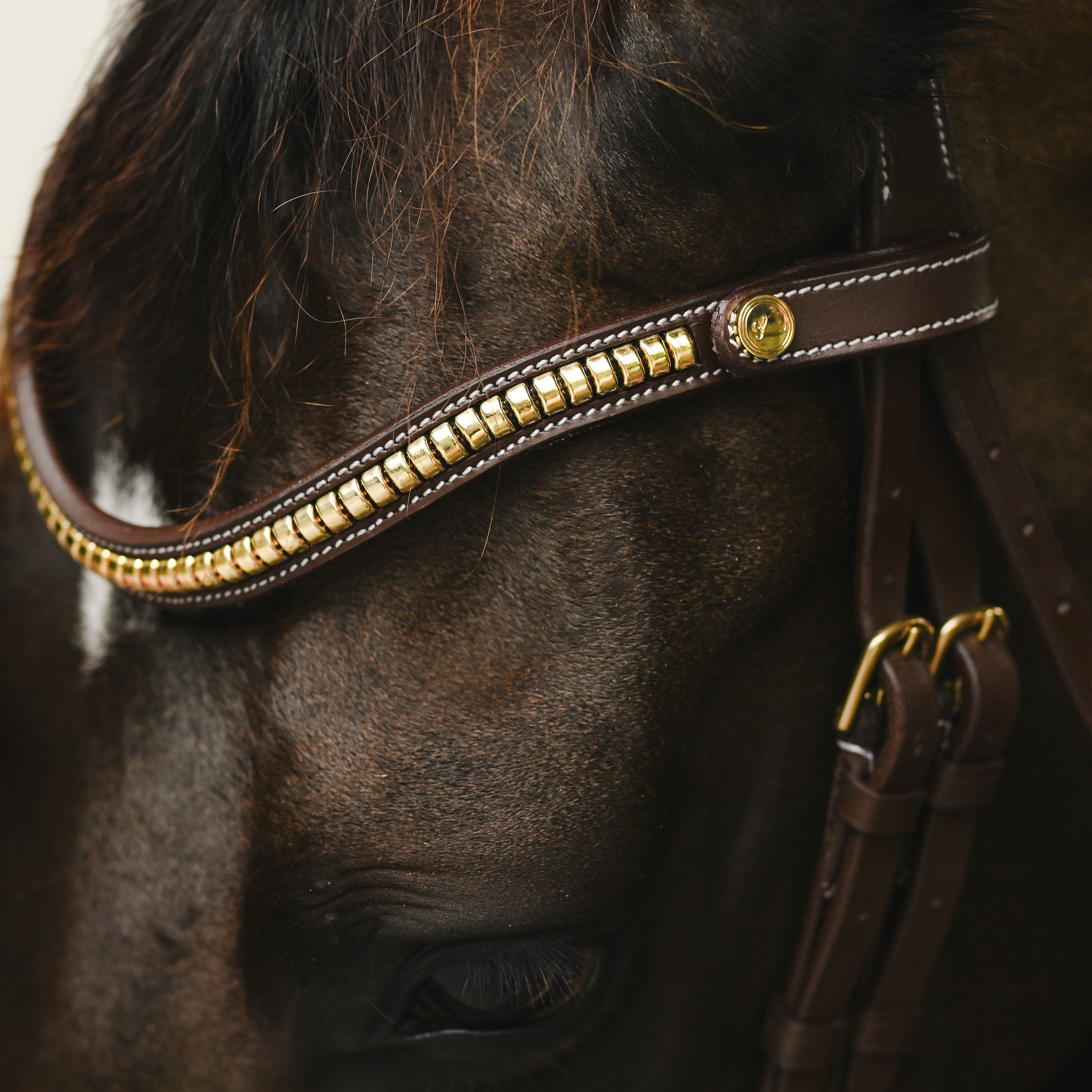 Dallas bridle - Lumiere Equestrian
