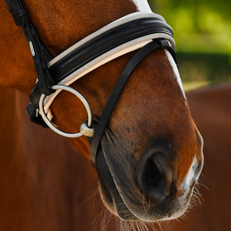 Sibella Bridle (hanoverian)