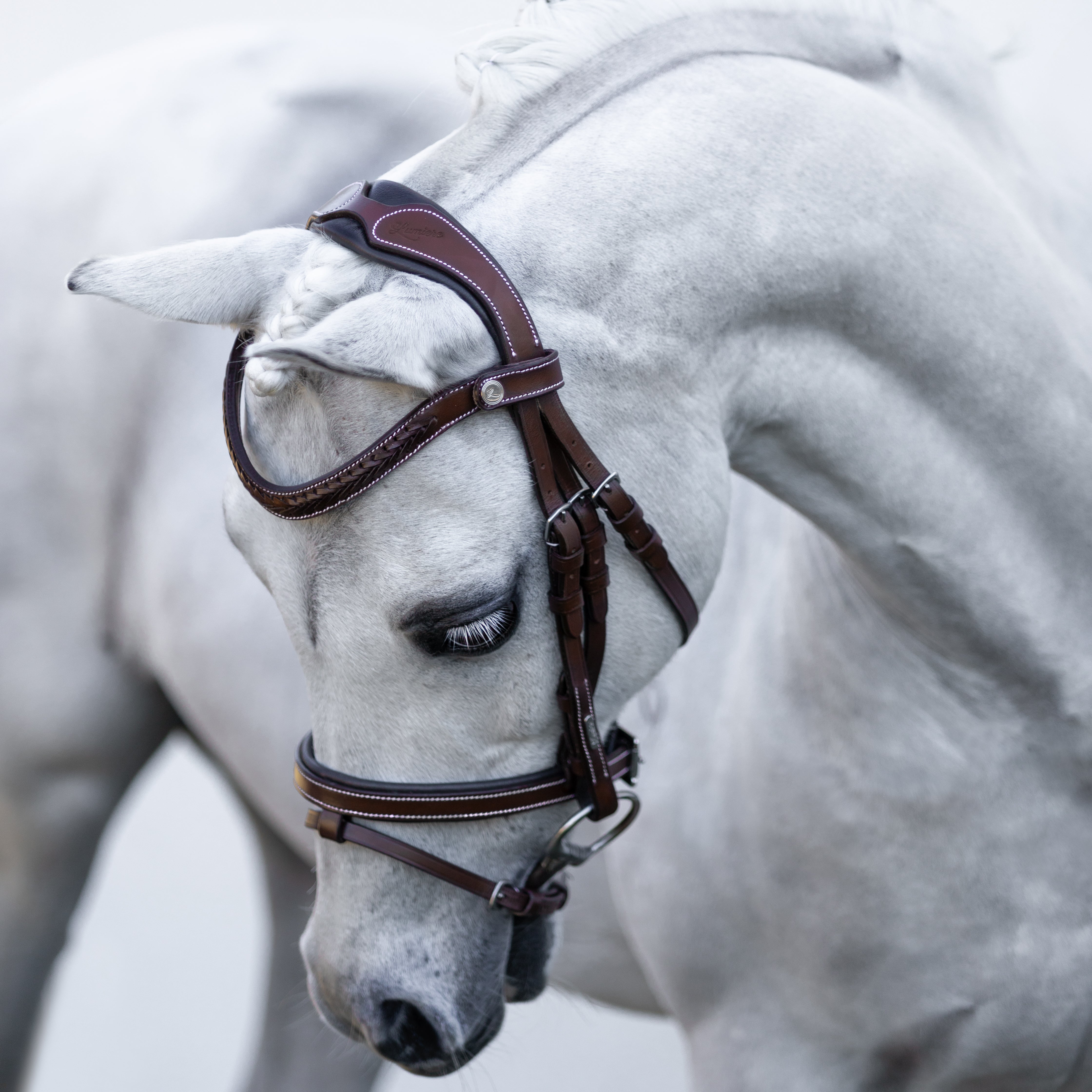'Delaney' leather bridle (Lumi Pony) Clearance - Lumiere Equestrian