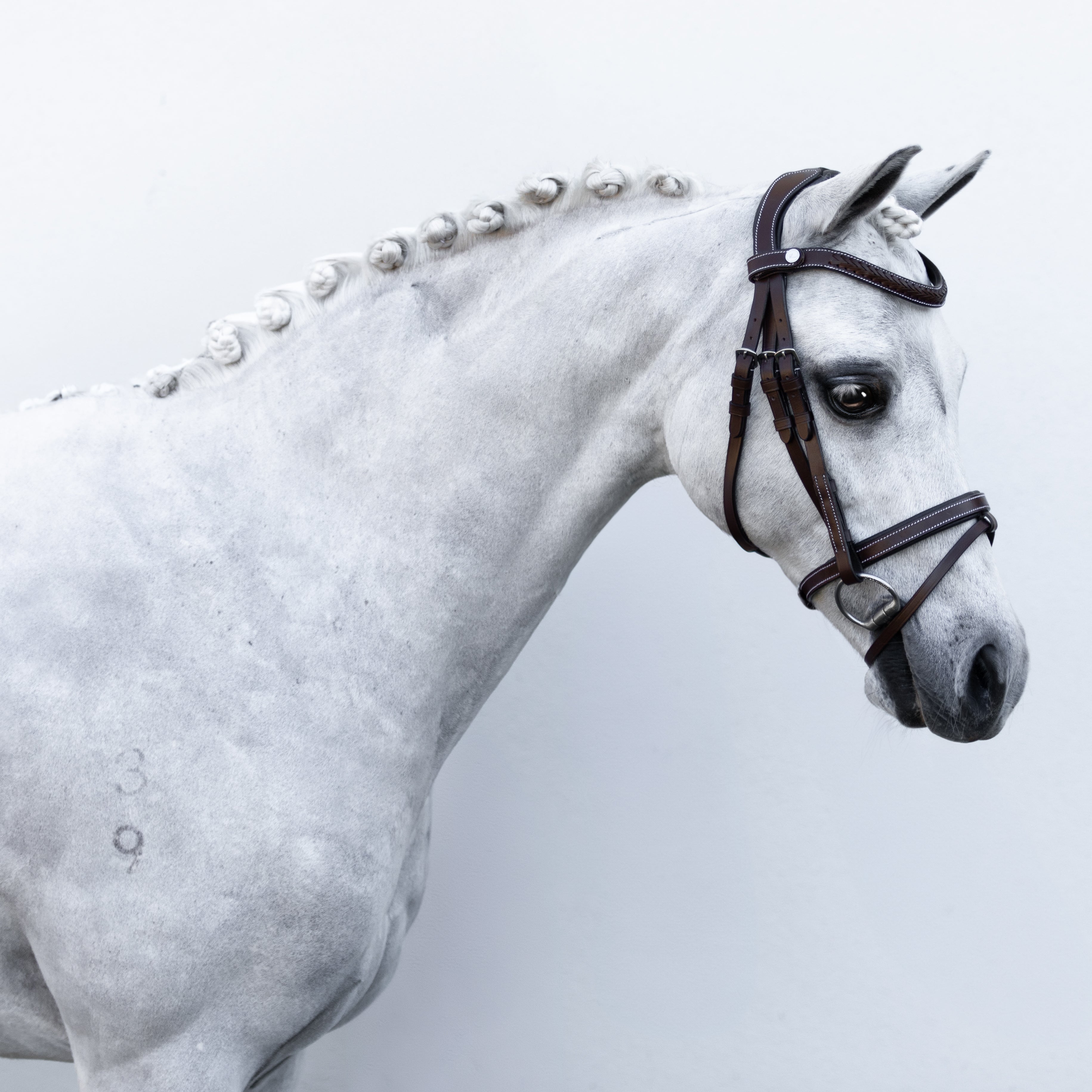 'Delaney' leather bridle (Lumi Pony) Clearance - Lumiere Equestrian