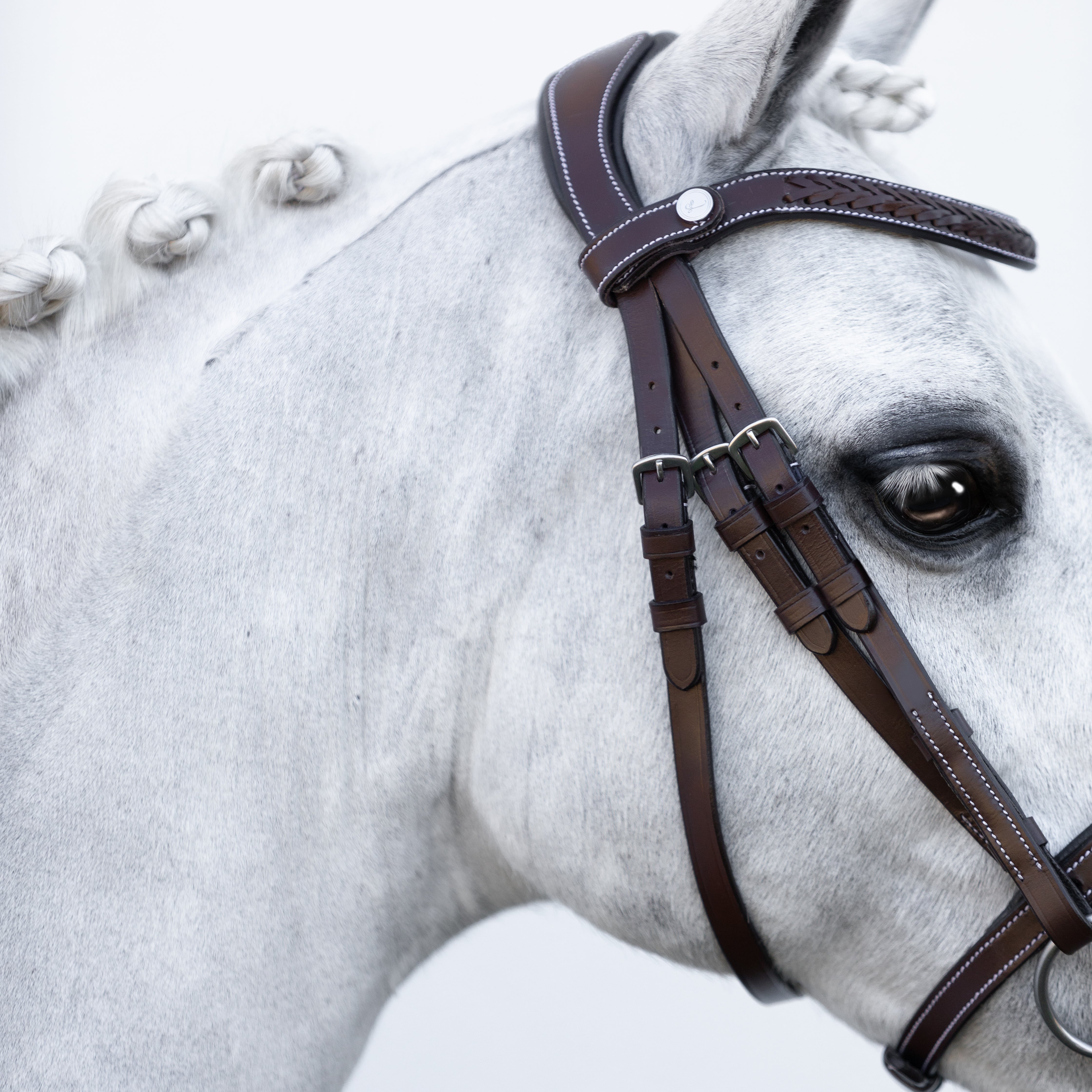 'Delaney' leather bridle (Lumi Pony) Clearance - Lumiere Equestrian