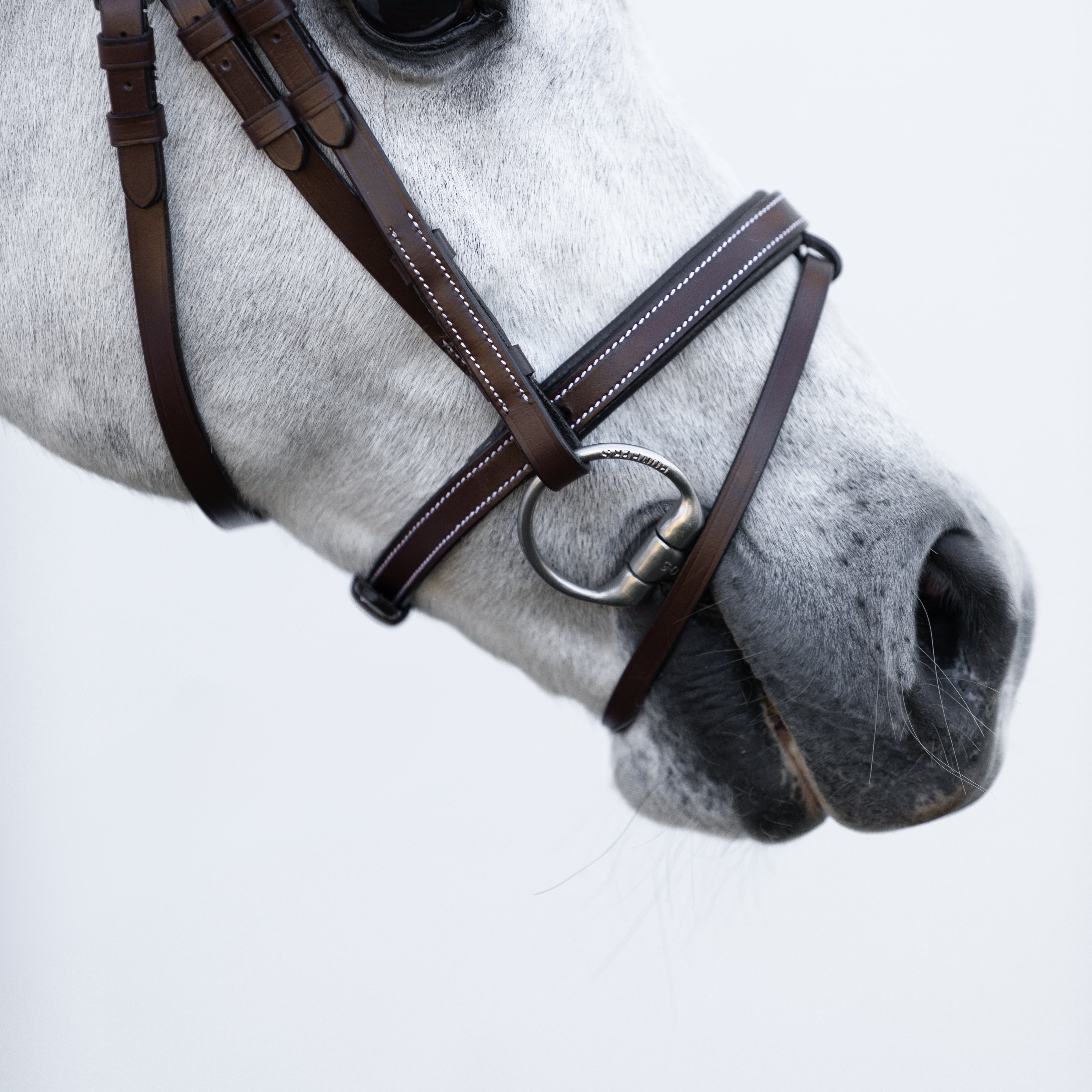 'Delaney' leather bridle (Lumi Pony) Clearance - Lumiere Equestrian