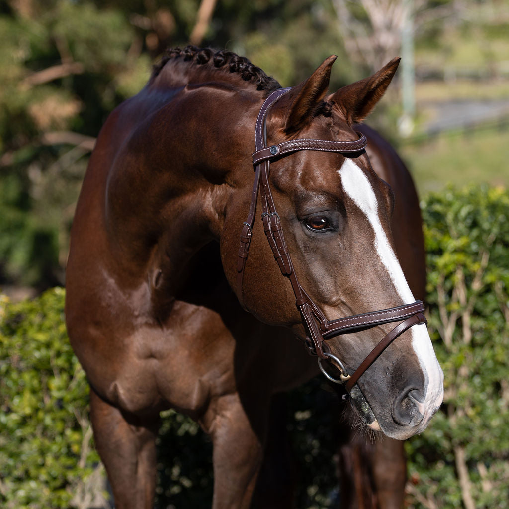 Delaney bridle - Lumiere Equestrian