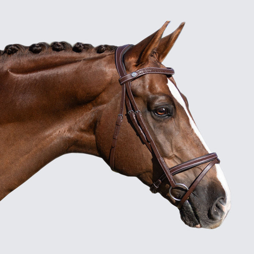 Delaney bridle - Lumiere Equestrian